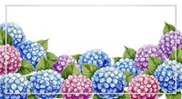 Watercolor hydrangea flowers border frame with pink blue purple blooms and green leaves on white background for spring summer floral design projects.