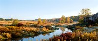 Autumn wetland landscape with winding stream, golden marsh grasses, and scattered trees reflecting in calm water during fall season. Ideal for nature, environmental, and seasonal editorial use.