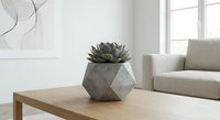 Geometric concrete planter with succulent plant on wooden coffee table in modern minimalist living room interior with natural light and neutral decor.