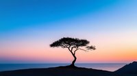 Lone tree silhouette against vibrant sunset sky and ocean horizon, twisted trunk creating dramatic shape on hilltop during peaceful dusk atmosphere.