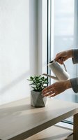 Woman watering small houseplant with metal watering can on wooden table by window. Indoor gardening and plant care routine in bright natural light.