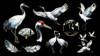 Crane birds collection with feathers and decorative elements isolated on transparent background, ready for t-shirt design, clipart, stickers, sublimation and print-on-demand projects.