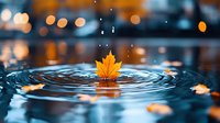 Autumn maple leaf floating on water surface with concentric ripples and falling raindrops. Blurred bokeh city lights create magical evening atmosphere.