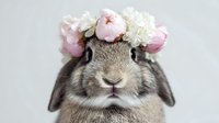 Adorable grey lop-eared rabbit wearing crown of pink and white flowers on head against light background, close up portrait of bunny face with sweet expression.