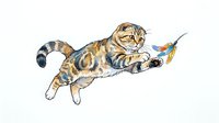 Playful tabby cat with striped coat jumping and catching colorful feathered toy on white isolated background, ready for design use.