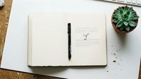 Open notebook with blank pages and black pen on wooden surface next to potted succulent plant, flat lay composition for stationery and planning design projects.