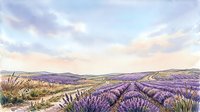 Lavender field landscape with rolling hills and dramatic sky at sunset, suitable for travel, agriculture, and nature-themed designs.