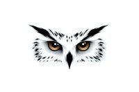 Piercing owl eyes with intense amber gaze on white background, fierce predator bird face close-up view showing detailed feathers and sharp beak markings.