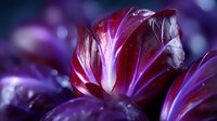 Vibrant purple and red radicchio leaves with water droplets in dramatic macro photography against dark background, creating moody and artistic food composition.