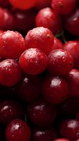 Fresh red currants with water drops on dark background, macro shot showing juicy berries texture and natural freshness, food photography.
