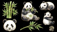 Watercolor panda clipart set with bamboo, isolated on transparent background. Cute pandas eating, sleeping, and paw print for stickers, t-shirt design, and print on demand.