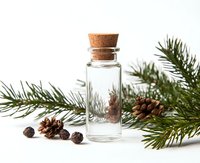 Small glass bottle with cork stopper surrounded by pine branches and mini pinecones on white background, perfect for holiday product photography.