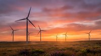 Wind turbines spinning across vast rural landscape at dramatic sunset with golden and purple sky, renewable energy generation.