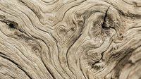 Weathered wood grain texture with natural swirling patterns and knots, showcasing organic lines and earthy tones for rustic design, backgrounds, and woodworking projects.