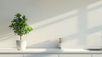 Minimalist white interior with small green potted plant and decorative bottle on countertop, sunlight casting geometric shadows on wall.