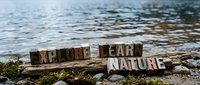 Wooden letter blocks spelling EXPLORE LEARN NATURE arranged on sandy beach shore with gentle waves and seaweed, outdoor education adventure concept.