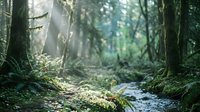 Serene forest stream flowing through lush woodland with moss-covered trees and dappled sunlight filtering through canopy, suitable for nature backgrounds and environmental designs.