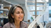 Middle-aged Hispanic woman scientist examining DNA double helix model in modern laboratory. Research, genetics, biotechnology, medical discovery concept.