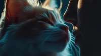Close up portrait of sleeping cat face in dramatic blue lighting with soft fur texture and peaceful expression, highlighting whiskers and delicate features against dark background.