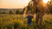 Father and young son walking hand in hand through golden wildflower meadow at sunset, warm family bonding moment in countryside nature setting.