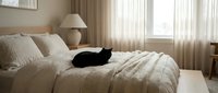 Black cat resting on cream-colored bedding in a bright, minimalist bedroom with natural light from windows and neutral decor for home design projects.