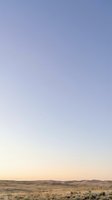 Vast open prairie landscape with golden grassland under soft purple and pink twilight sky creating serene natural scenery for outdoor adventure concepts.