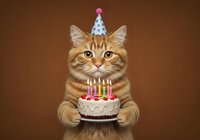 Orange tabby cat wearing blue party hat holding birthday cake with lit candles against brown background. Celebration and festive pet concept.