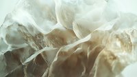 Delicate translucent fabric layers creating soft ethereal textures with flowing organic forms and gentle light filtering through sheer materials.