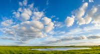 Expansive green meadow with tranquil pond under dramatic cloudy blue sky. Rural countryside landscape for nature and environmental concepts.