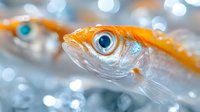 Macro shot of orange and white fish with striking blue eye against blurred bokeh background, showcasing underwater wildlife in aquatic environment.