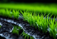 Vibrant green moss and grass growing on dark textured bark or wood surface with shallow depth of field, suitable for nature and environmental design projects.