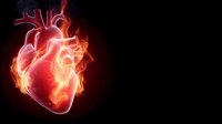Glowing anatomical human heart with fiery energy effects on black background for medical education and healthcare concepts.