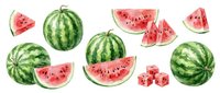 Fresh watermelon collection with whole fruits and juicy slices showing red flesh and black seeds, isolated on white background for summer design projects.