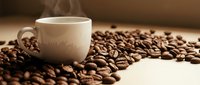White ceramic coffee cup surrounded by roasted coffee beans on wooden surface with warm lighting for cafe and beverage concepts.