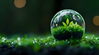 Crystal ball with green plants inside on moss background with bokeh lights, environmental concept showing nature preservation and sustainable future.