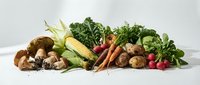 Fresh organic vegetables and mushrooms arranged on white background including corn, carrots, potatoes, leafy greens and herbs for healthy cooking.