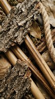 Natural tree bark pieces with cinnamon sticks and rope creating rustic organic texture for crafting and decorating projects.