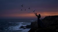 Person silhouette reaching toward flying birds at dramatic purple sunset over rocky coastline with ocean waves crashing below.