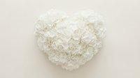 White hydrangea flowers arranged in a heart shape on a soft beige background, symbolizing love, purity, and romance for cards and decor.