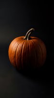 Fresh orange pumpkin with curved stem on dark background for autumn harvest, Halloween decoration, and seasonal cooking projects.