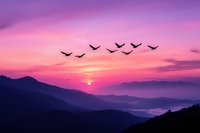 Silhouettes of birds flying over misty mountain landscape during vibrant purple and pink sunset, dramatic sky with layered mountain ridges in background.