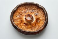 Fresh brown portobello mushroom cap showing detailed gills and texture in cross section on white background, macro food photography for culinary and cooking concepts.
