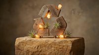Rustic wooden house decorations with warm LED lights and air plants create cozy home decor atmosphere for holidays and interior design projects.