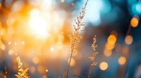 Delicate grass silhouettes against blurred bokeh background in orange and turquoise colors create dreamy nature atmosphere at golden hour sunset.