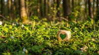 Wooden heart symbol nestled among fresh green forest undergrowth with sunlight filtering through trees, representing love for nature and environmental conservation.