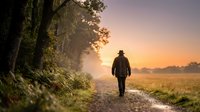 Lone man walking on rural path at golden hour sunrise with misty fields and trees creating peaceful countryside atmosphere for wellness concepts.