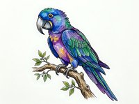Colorful parrot perched on branch with green leaves, featuring vibrant blue, purple, and iridescent plumage. Isolated on white background, ready for design projects.