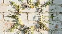 Rustic floral arrangement with wildflowers and herbs on weathered white wooden background for natural home decor and botanical design projects.