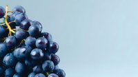 Fresh dark purple grapes cluster on light blue background with copy space for healthy eating and wine making concepts.
