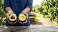 Farmer holding halved fresh avocado with pit and flesh visible in orchard garden setting, showcasing organic produce harvesting and agriculture for farming, food, and healthy eating concepts.